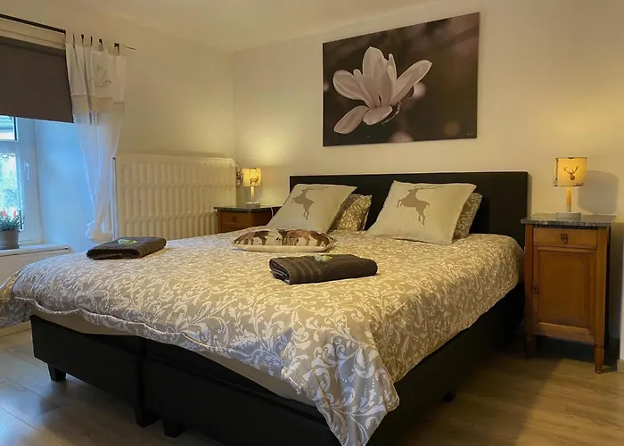 Spacious Holiday Home In Ouren With Infrared Sauna